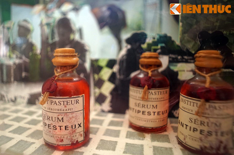 Chỉ với vài con ngựa nuôi thí nghiệm, Yersin đã trở thành người đầu tiên chế tạo ra huyết thanh đặc hiệu chống lại dịch hạch - một trong những căn bệnh nguy hiểm nhất thời điểm đó.