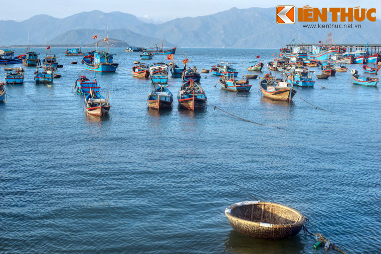Hình ảnh những con thuyền đánh cá được sơn màu sắc tươi tắn neo đậu san sát là nét đặc trưng của cuộc sống bình yên bên bờ vịnh.