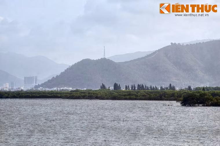 Từ 1.000 năm trước, đầm Thị Nại đã trở thành cửa ngõ thành Đồ Bàn, một tòa thành cổ của người Chăm Pa. Trong các cuộc chiến giữa Đại Việt và Chăm Pa, các vua chúa Việt đã đưa quân qua đầm vào các năm 1069, 1377,1403 và 1470, dưới các triều Lý, Trần, Hồ và Hậu Lê.