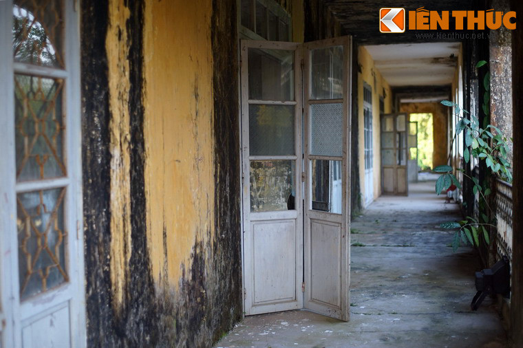 Các mảng tường bị rêu mốc, các loài cây dại mọc ở nhiều nơi khiến không gian vô cùng u ám.