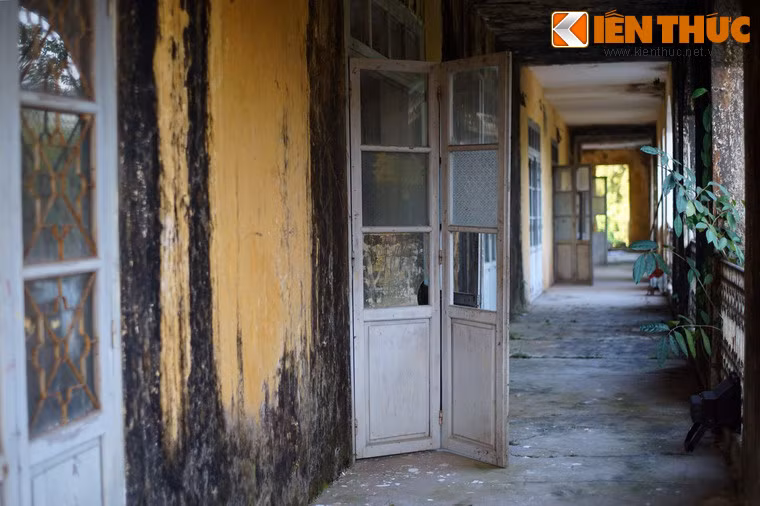 Các mảng tường bị rêu mốc, các loài cây dại mọc ở nhiều nơi khiến không gian vô cùng u ám.