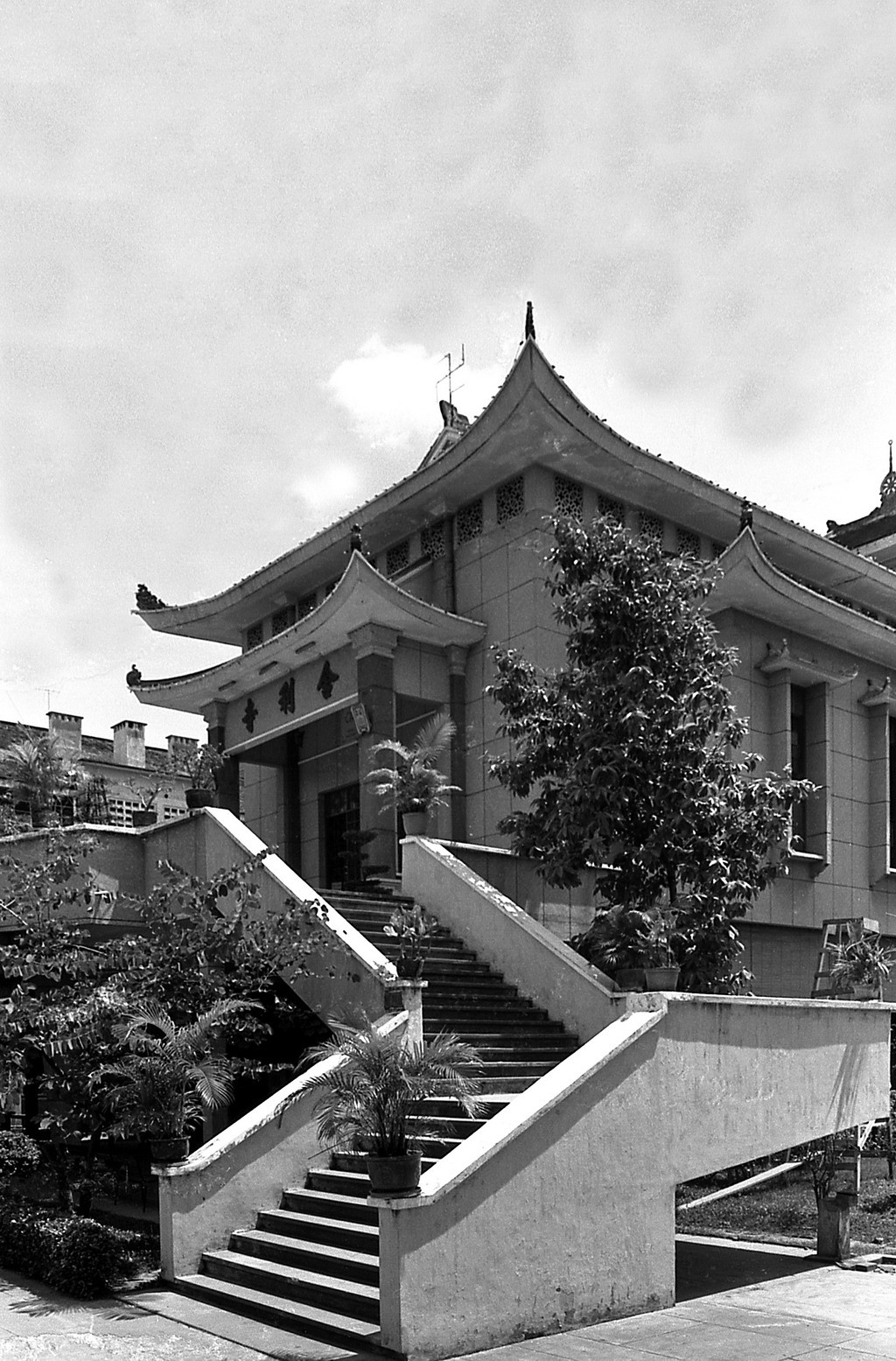 Lối lên chính điện của chùa Xá Lợi. Ảnh: Carl Nielsen.