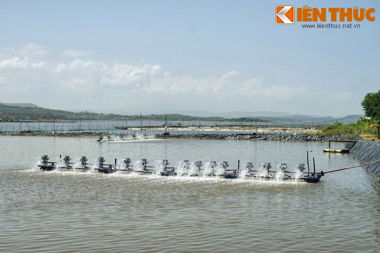 Với sự thuận lợi về điều kiện tự nhiên, nghề nuôi trồng thủy sản đã phát triển mạnh ven bờ đầm, đem lại cuộc sống no ấm cho nhiều hộ dân.