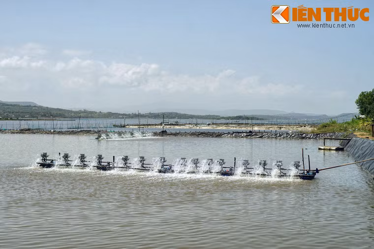 Với sự thuận lợi về điều kiện tự nhiên, nghề nuôi trồng thủy sản đã phát triển mạnh ven bờ đầm, đem lại cuộc sống no ấm cho nhiều hộ dân.