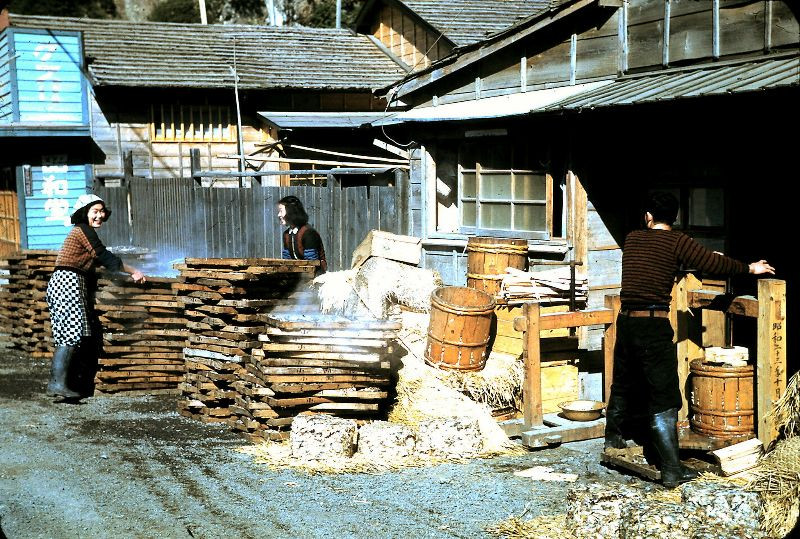 Cuộc sống ở ngoại thành Numazu. Ảnh: Leonora (Ellie) Enking Flickr.