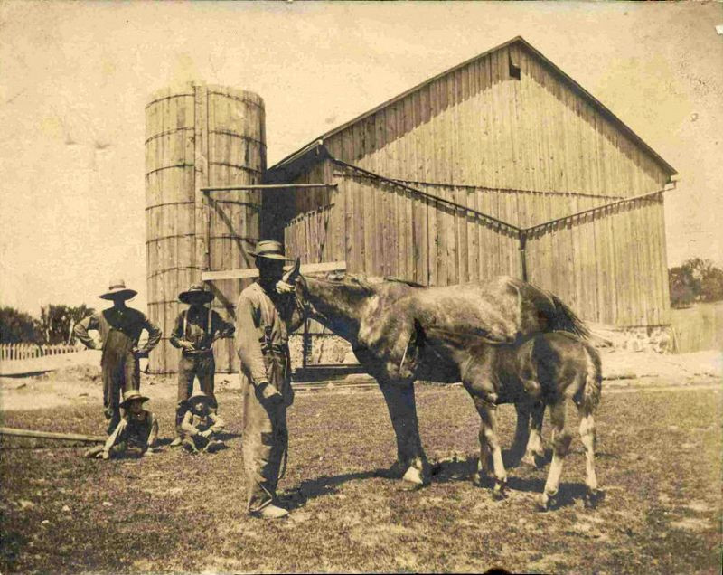 Một trang trại gần thành phố Toronto. Ảnh: Gt_hawk63.