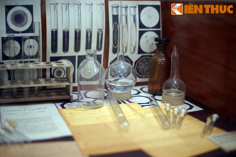 Vào năm 1894, sau khi tìm ra vi khuẩn bệnh dịch hạch tại Hồng Kông, Yersin trở lại Việt Nam và quyết định ở lại đây cho đến cuối đời.