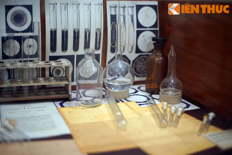 Vào năm 1894, sau khi tìm ra vi khuẩn bệnh dịch hạch tại Hồng Kông, Yersin trở lại Việt Nam và quyết định ở lại đây cho đến cuối đời.