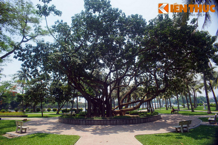 Thời điểm ấy đất nước vẫn còn chia cắt hai miền, công viên được lấy tên “Thống Nhất” thể hiện khát vọng sớm giải phóng miền Nam, thống nhất đất nước.