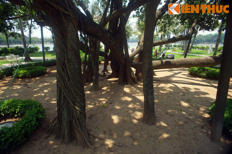 Đến năm 1958, thành phố Hà Nội quyết định xây dựng lại toàn bộ khu vực hồ Bảy Mẫu thành công viên để làm nơi vui chơi giải trí cho người dân Thủ đô.