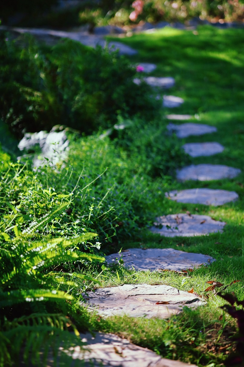 Chủ nhân của khu vườn cũng rất khéo léo khi thiết kế những lối đi giao nhau, những bậc thang lên xuống đẹp mắt.