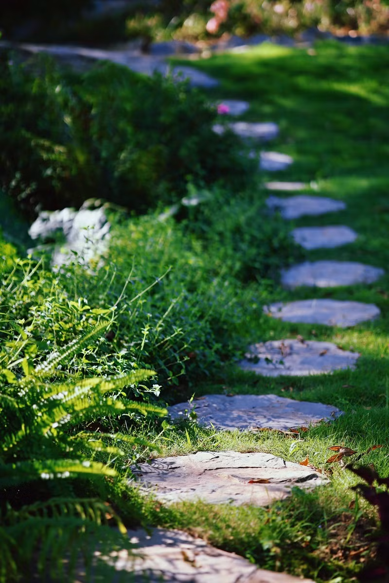 Chủ nhân của khu vườn cũng rất khéo léo khi thiết kế những lối đi giao nhau, những bậc thang lên xuống đẹp mắt.