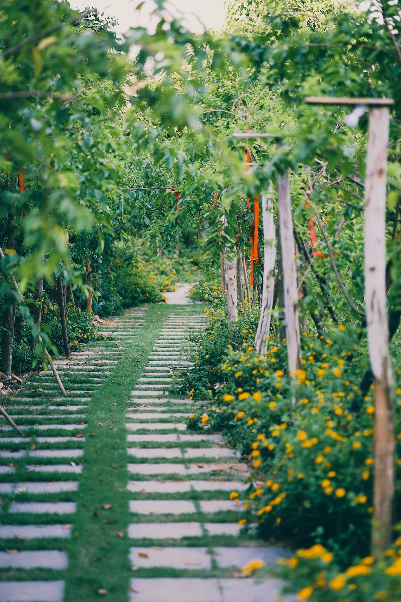 Lối đi ngập tràn hoa trong khu vườn rộng 3.000 mét vuông.