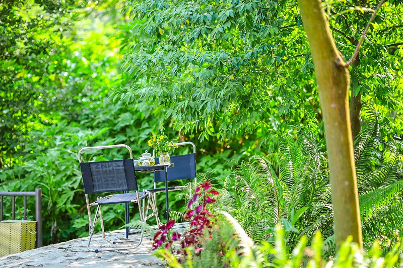 Nhiều người thường gọi đây là khu vườn “không góc chết” vì mỗi góc vườn đều được chủ nhân thiết kế khéo léo tạo nên những góc “sống ảo” mơ mộng, mang vẻ đẹp êm đềm, dịu dàng của thiên nhiên.