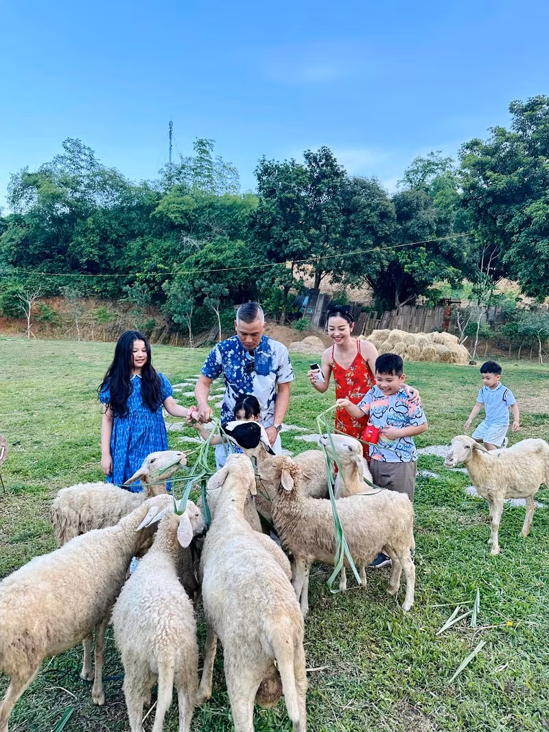 Trong chuyến nghỉ dưỡng, các con của Jennifer Phạm thích thú khi tham gia các hoạt động, khám phá trang trại cừu.