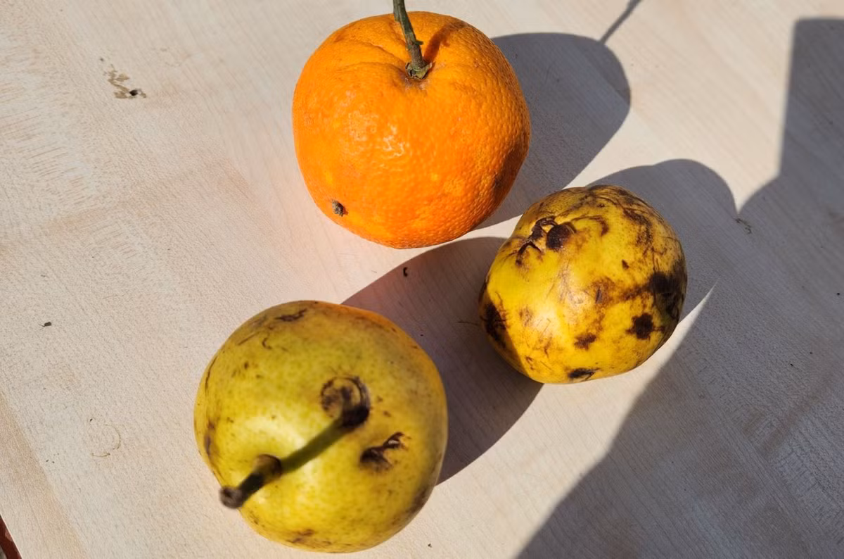 Theo chan Doan cuu ho VN toi khu vuc co hon 100 nguoi mac ket-Hinh-11