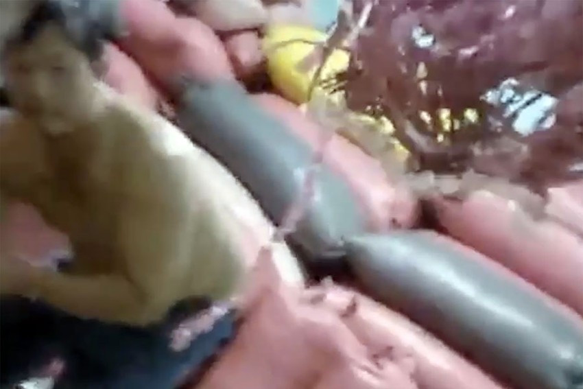 Điều tra: Tài xế “rút ruột” cà phê của chủ hàng - Hình 2 Dieu tra: Tai xe “rut ruot” ca phe cua chu hang-Hinh-2