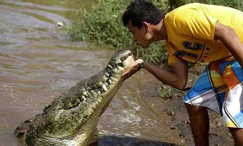 Ron nguoi canh hon hit ca sau hut khach du lich