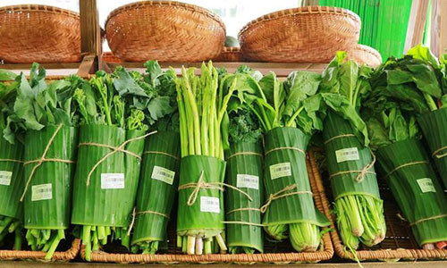 Tuong lai khong xa: 100% sieu thi Ha Noi khong dung tui nylon