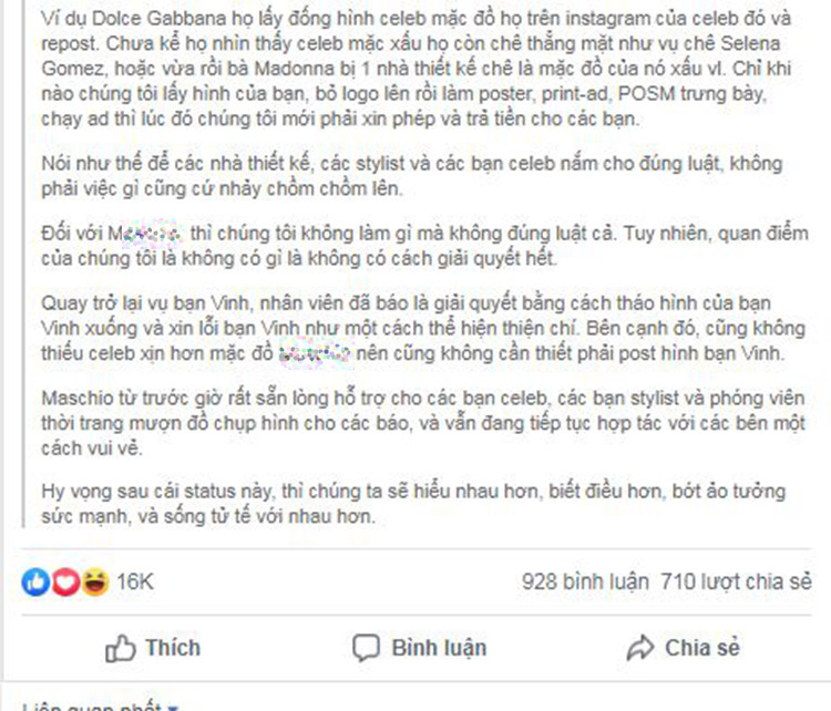 Truong The Vinh buc xuc vi bi xai chua hinh anh, nhan hang to nguoc-Hinh-4