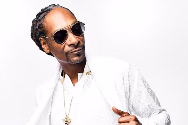 Từ nhỏ, Snoop Dogg còn mơ lớn lên mình sẽ làm chủ một đường dây mại dâm. Vì vậy, khi lớn lên, anh trở thành tên ma cô chăn dắt gái mại dâm.