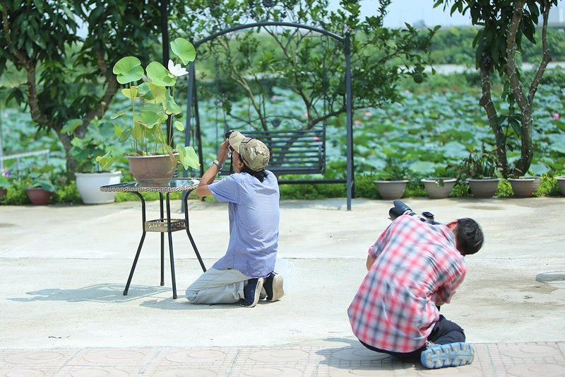 Với những người đam mê chụp sen, trung tâm bảo tồn sen này chính là nơi được coi là "thiên đường" của các loài sen và... phó nháy.