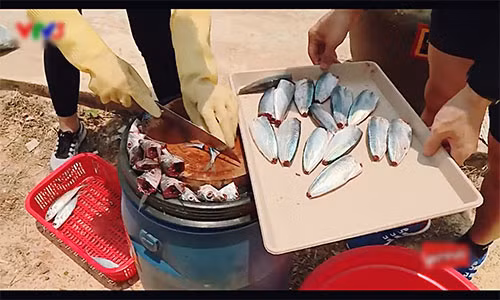 Kho nhu sao Viet tham gia gameshow: Sai mot ly di mot dam-Hinh-4