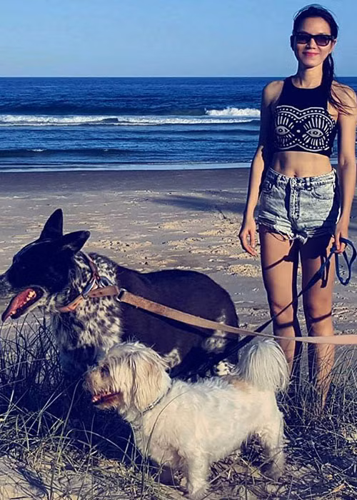 Hồng Nhung không hoạt động trong showbiz sau khi kết hôn với Anh Tuấn.