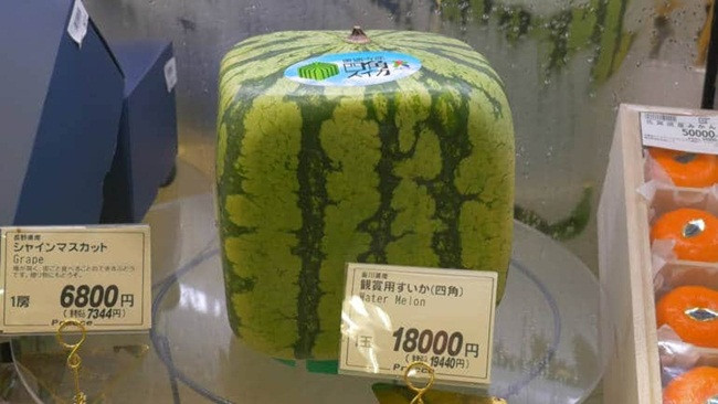 Trên mỗi quả được dán một mảnh giấy để khách biết đó là thương hiệu đã được đăng ký.