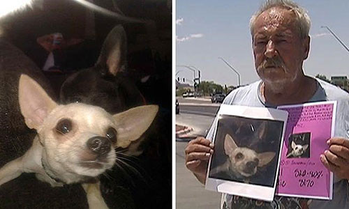 Nguoi dan ong gay soc treo thuong ca nha cho ai tim duoc cho cung