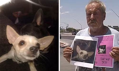 Nguoi dan ong gay soc treo thuong ca nha cho ai tim duoc cho cung