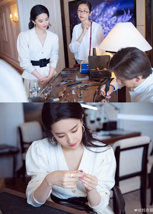 Nữ diễn viên sinh năm 1987 hiện nuôi hơn 10 chú mèo và coi chúng như bạn thân.