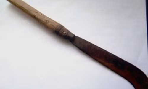 Nghich tu chem chet me vi cho rang bi lam phien giac ngu