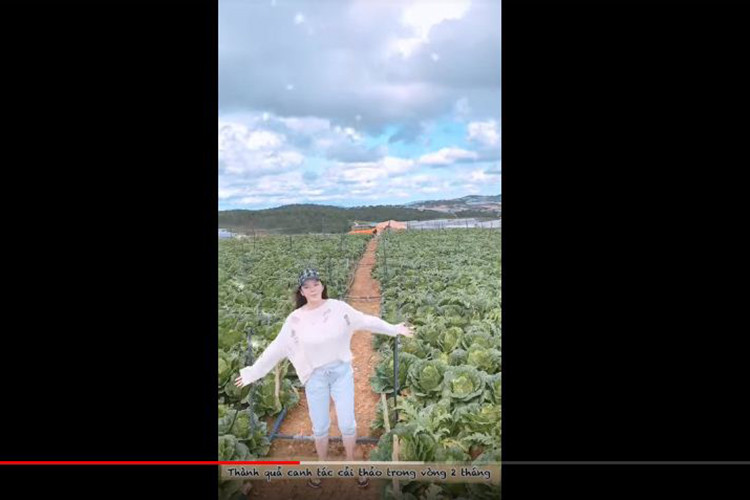 Được biết, nông trại của Lý Nhã Kỳ nằm trên một ngọn đồi cách trung tâm Đà Lạt khoảng 20 km.
