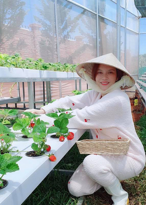 Lý Nhã Kỳ về nông trại vào cuối tuần, sau đó đem thực phẩm sạch tặng người thân, bạn bè và đồng nghiệp.