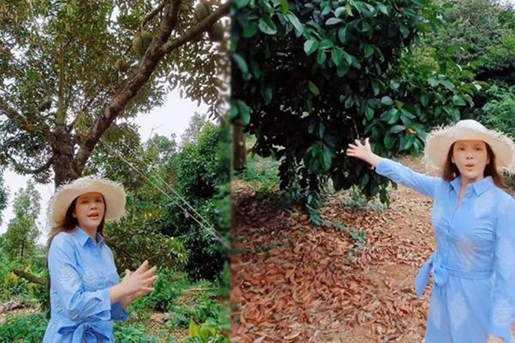 Được biết, nữ diễn viên cô còn mua vườn cây ăn trái 1 hecta ở Bà Rịa - Vũng Tàu để trồng sầu riêng, măng cụt, bơ, mít...