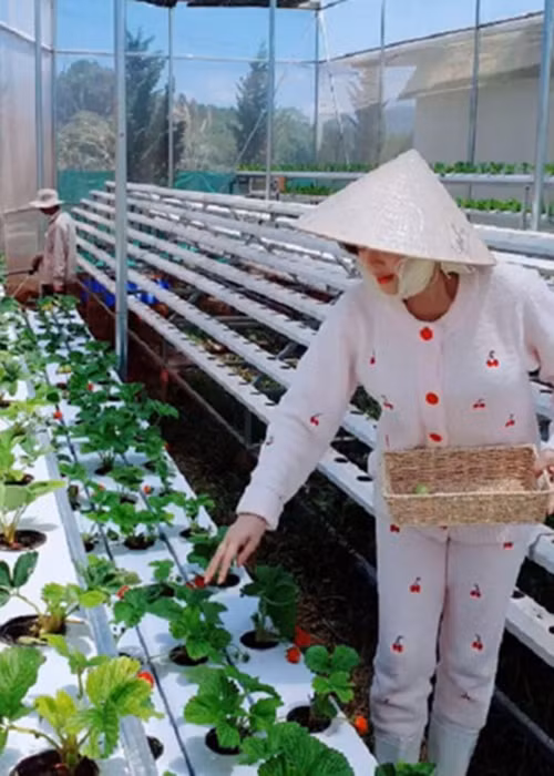 "Tôi không còn quan tâm đến việc da mình có bị đen không, mặc đồ có quê mùa không. Được trải nghiệm cuộc sống của một người nông dân, thưởng thức các món rau củ mình tự tay hái là một cảm giác tuyệt vời", người đẹp chia sẻ.