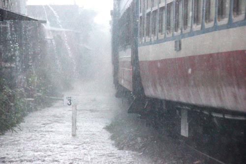 TP HCM mua xoi xa suót ngày vì áp tháp nhiẹt dói-Hinh-2