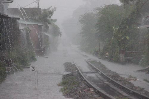 TP HCM mua xoi xa suót ngày vì áp tháp nhiẹt dói