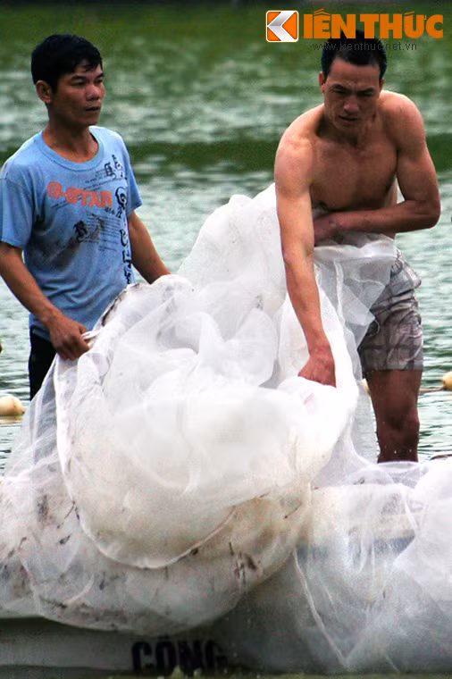 Đây là lực lượng chiến đấu đặc biệt tinh nhuệ của Quân đội Nhân dân Việt Nam, được tổ chức, trang bị và huấn luyện đặc biệt, có phương pháp tác chiến linh hoạt, táo bạo, bất ngờ…