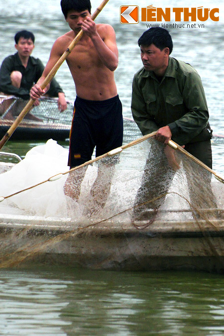 Có hai vòng lưới được sử dụng để vây rùa hồ Gươm, gồm vòng trong và vòng ngoài.