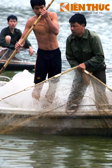 Có hai vòng lưới được sử dụng để vây rùa hồ Gươm, gồm vòng trong và vòng ngoài.