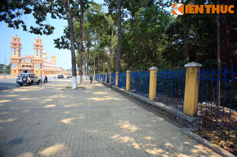 Không chỉ có kiến trúc độc đáo, Tòa thánh còn là nơi bảo tồn những khoảng rừng nguyên sinh rộng lớn với thảm thực vật phong phú.