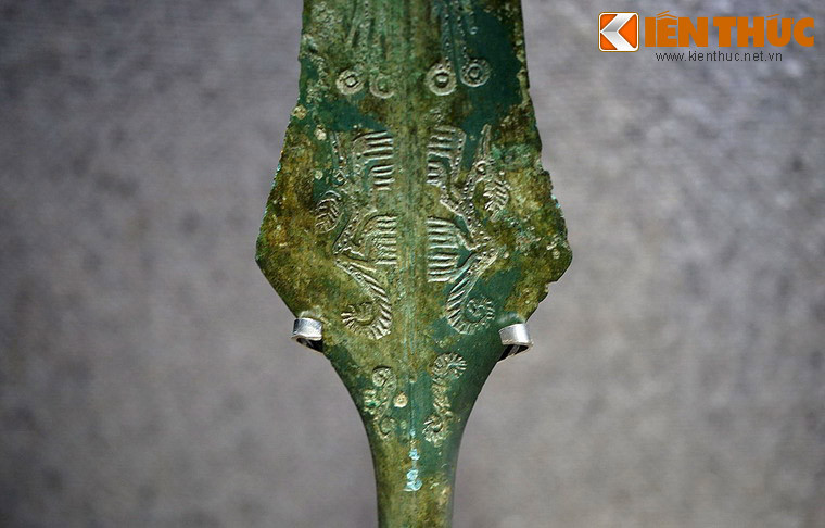 Trong nhiều câu chuyện dân gian của người Việt có nhắc đến một loài thủy quái to lớn và đầy bí ẩn, được gọi là con giao long hoặc thuồng luồng. Đây là một loài vật như thế nào? Trong hình giao long trang trí trên giáo đồng, thuộc văn hóa Đông Sơn, cách đây 2.000 - 2.500 năm.