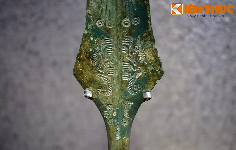 Trong nhiều câu chuyện dân gian của người Việt có nhắc đến một loài thủy quái to lớn và đầy bí ẩn, được gọi là con giao long hoặc thuồng luồng. Đây là một loài vật như thế nào? Trong hình giao long trang trí trên giáo đồng, thuộc văn hóa Đông Sơn, cách đây 2.000 - 2.500 năm.