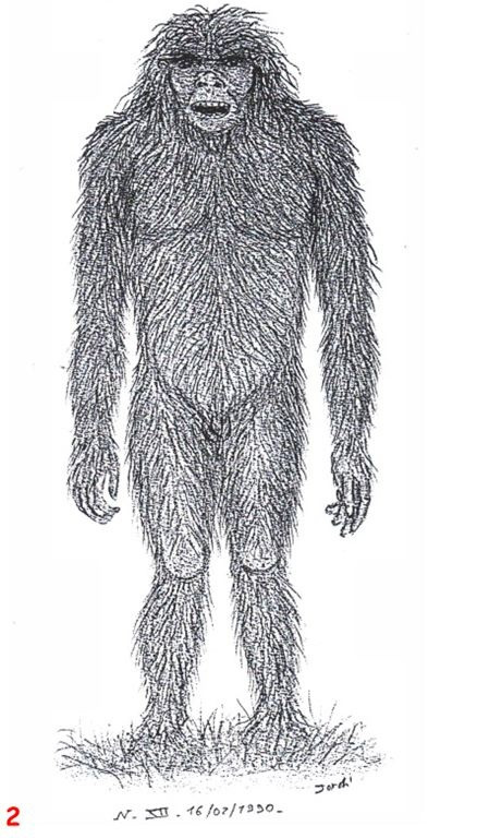 10 sinh vat nua nguoi nua khi bi an nhat the gioi-Hinh-10