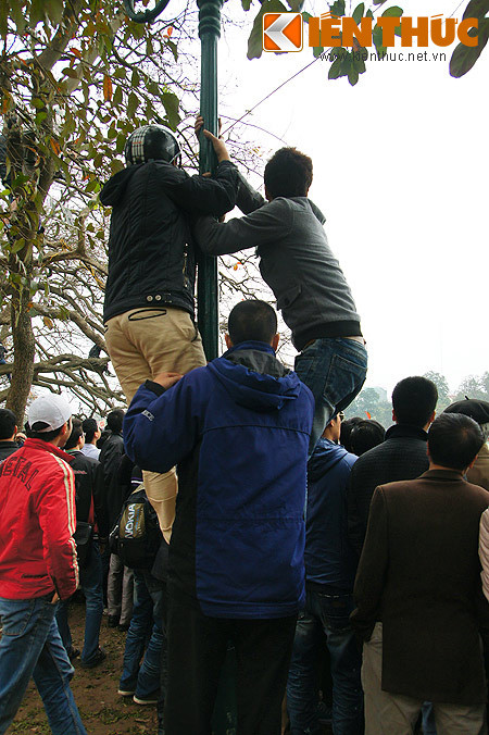 Cột điện cũng được tận dụng.