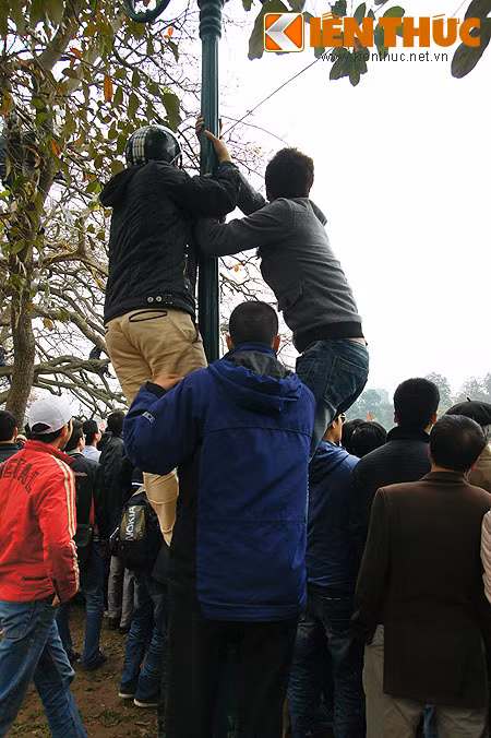 Cột điện cũng được tận dụng.