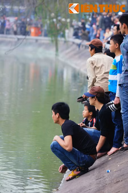 Trườn ra sát mép nước để ngắm rùa.