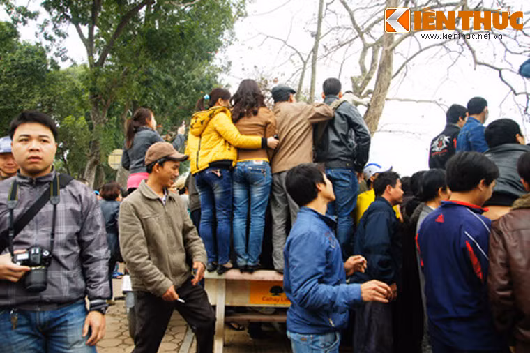 Ghế đá phát huy công dụng ngắm rùa.